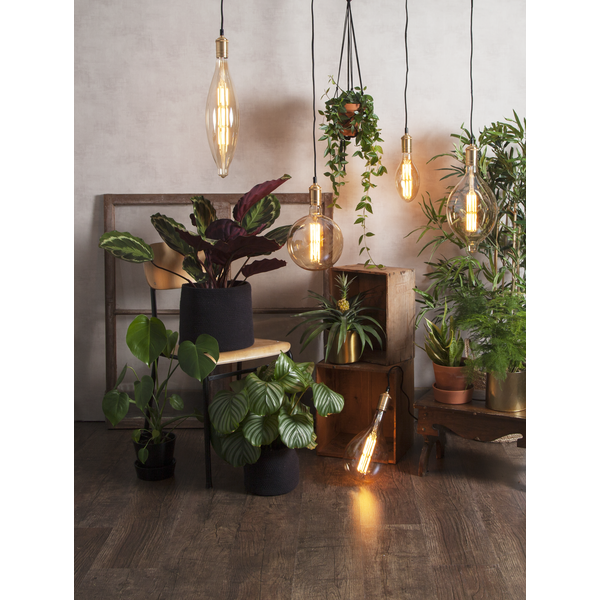 Decoration Filament LED Alien-Lamp 10W Glaskörper amber E27 - A165